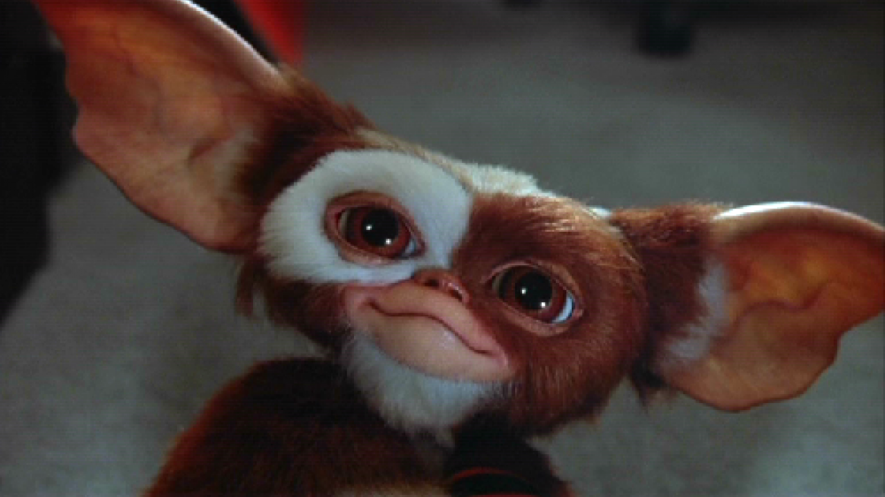 Gremlins : voici comment Steven Spielberg est tombé amoureux de Gizmo