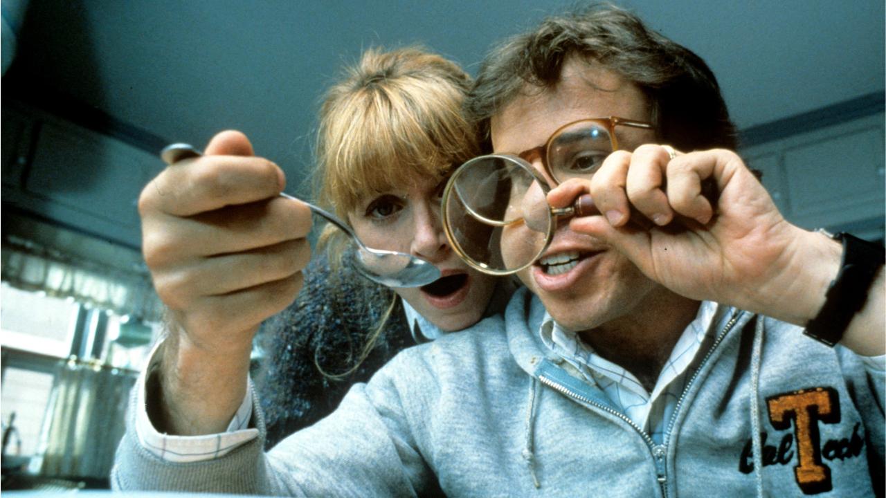 Rick Moranis de retour dans la suite de Chérie j’ai rétréci les gosses ?