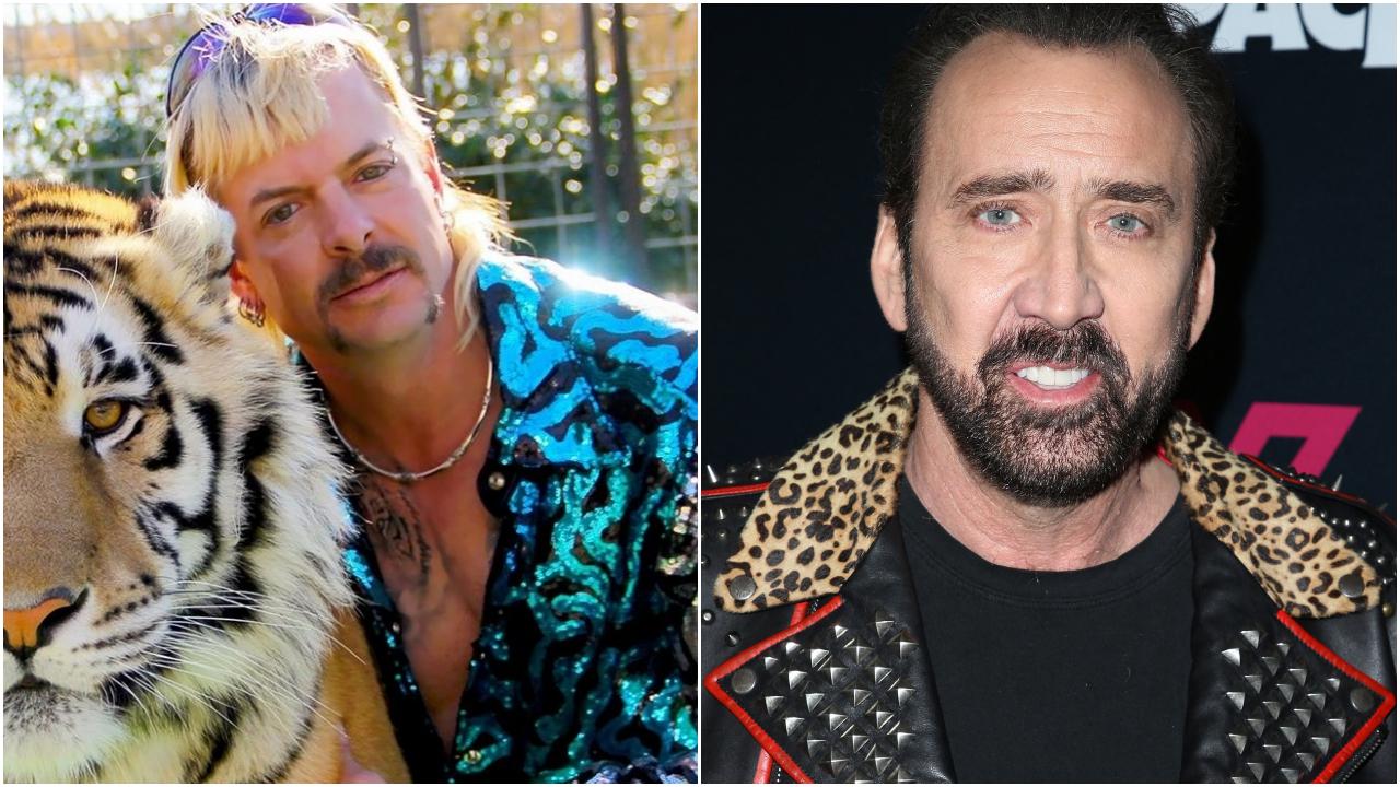 Nicolas Cage Joe Exotic