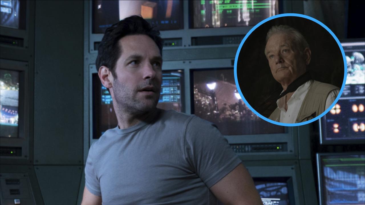 Bill Murray rejoint Ant-Man 3 dans un rôle secret