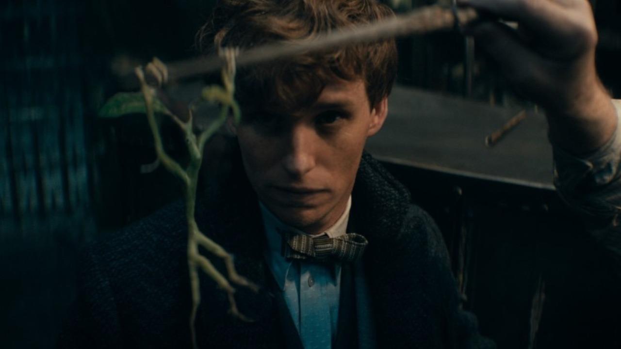 Les Animaux fantastiques 3 Eddie Redmayne