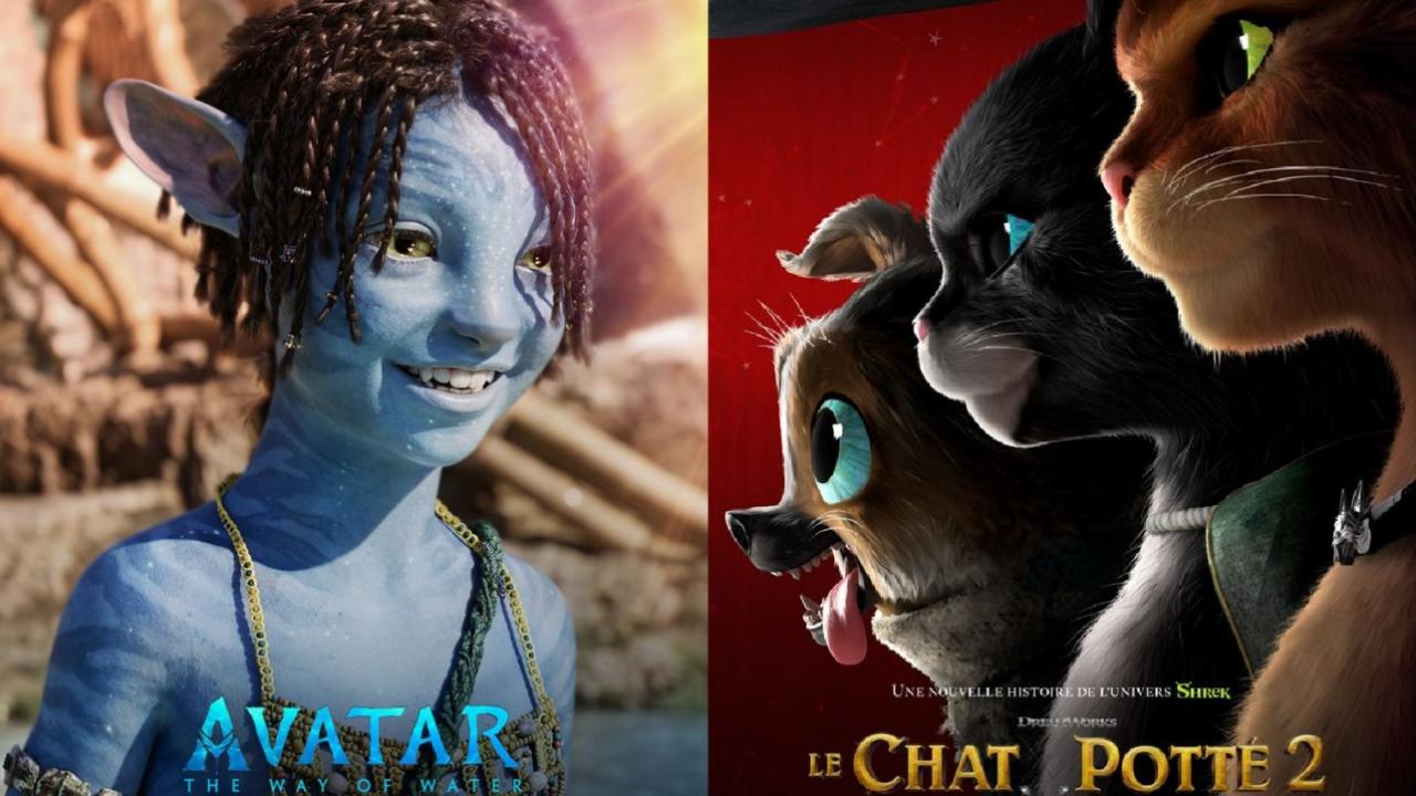 Le box-office français remonte grâce à Avatar 2, Le Chat Potté 2...