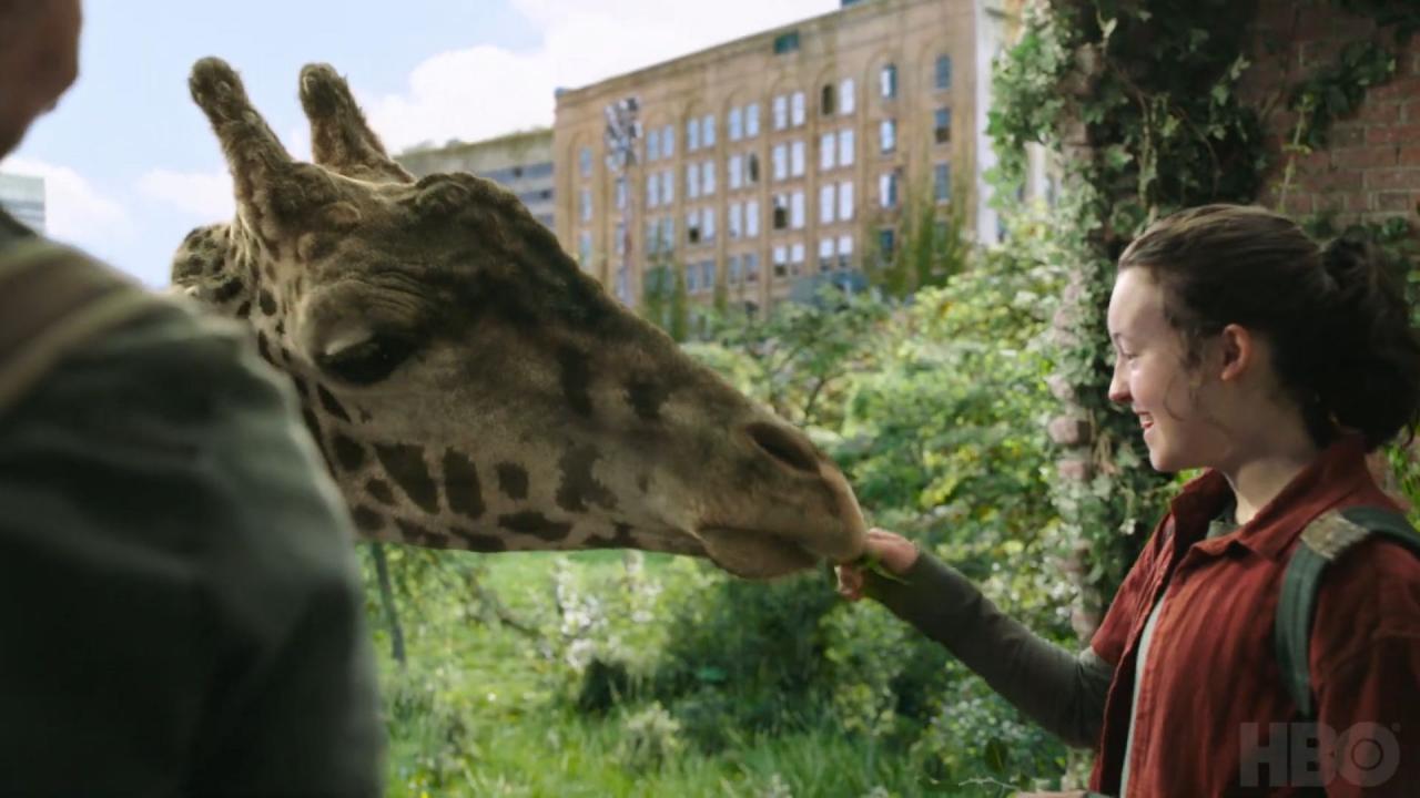 The Last of Us girafe