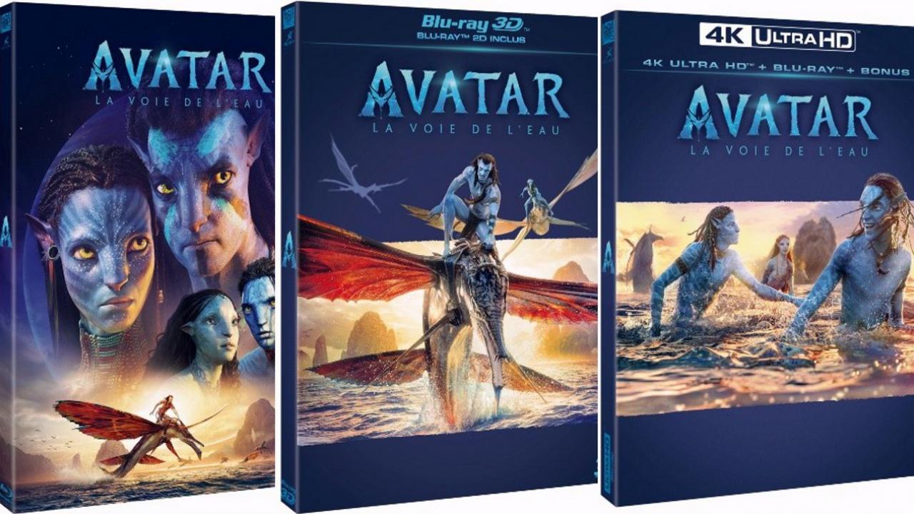 Avatar DVD BR