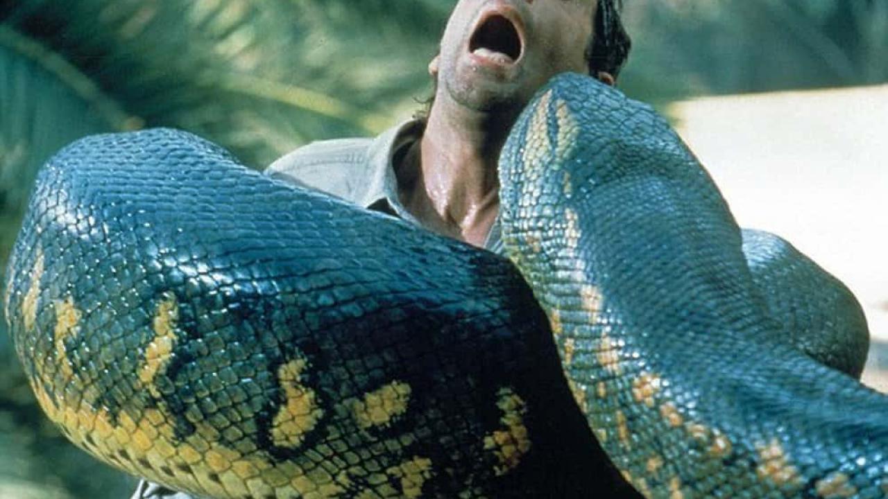 Anaconda film