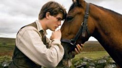 Cheval de Guerre, de Steven Spielberg 