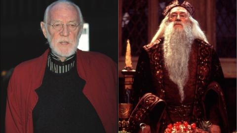 Richard Harris Albus Dumbledore