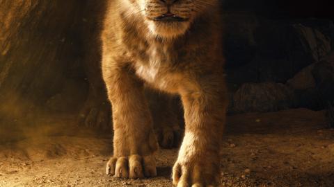 Le Roi Lion (2019)