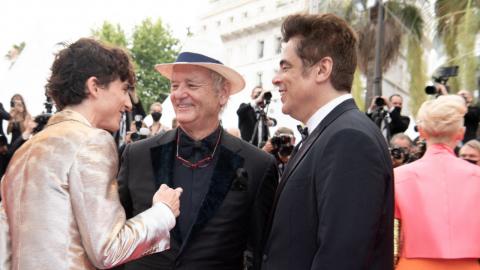 Cannes 2021 : Timothée Chalamet, Bill Murray et Benicio Del Toro