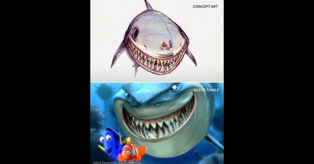 20 ans du Monde de Nemo : "Les requins sont nos amis !"