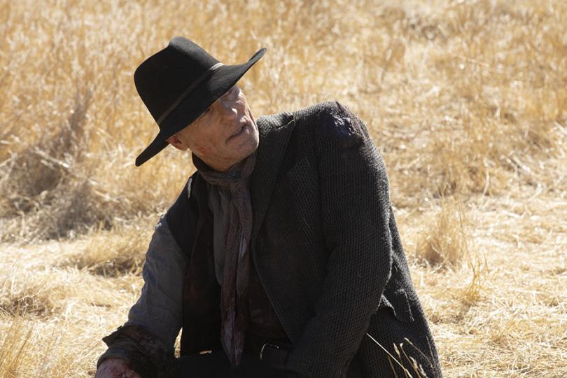 westworld-finale-william