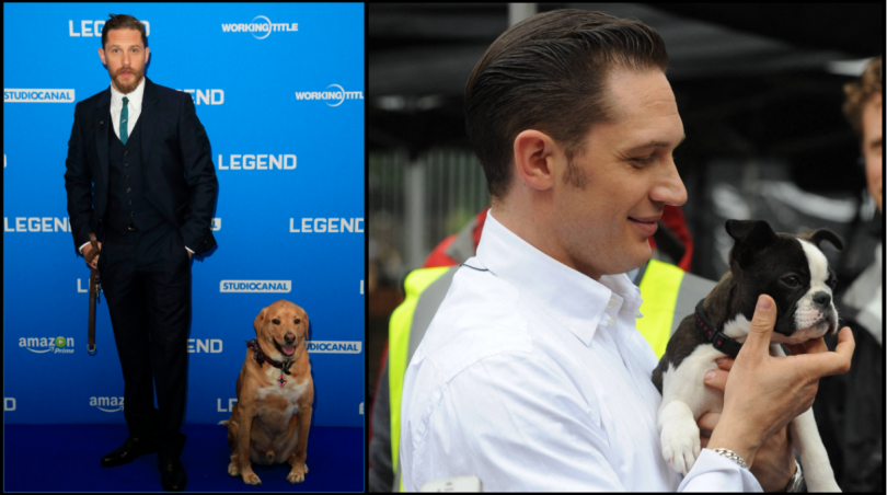 Tom Hardy a trouvé la voix de Venom... en imitant son chien ! 